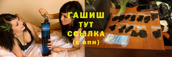 индика Алзамай