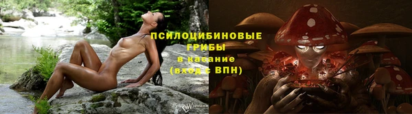 ешки Алексин