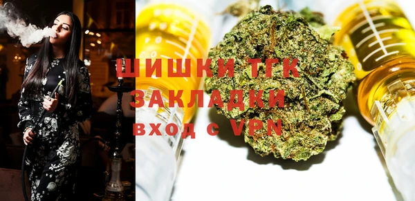 индика Алзамай