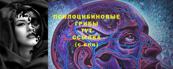 индика Алзамай