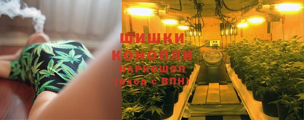 индика Алзамай