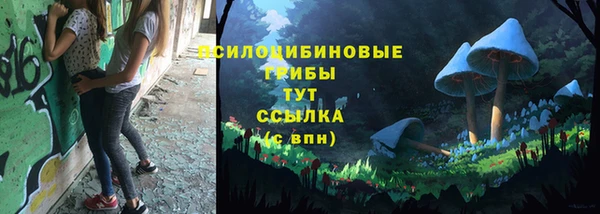 ешки Алексин