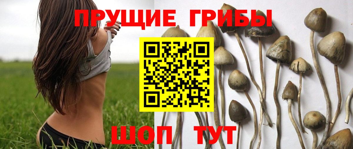 Галлюциногенные грибы GOLDEN TEACHER  Галлюциногенные грибы мухоморы  Анжеро-Судженск  Вход с VPN 