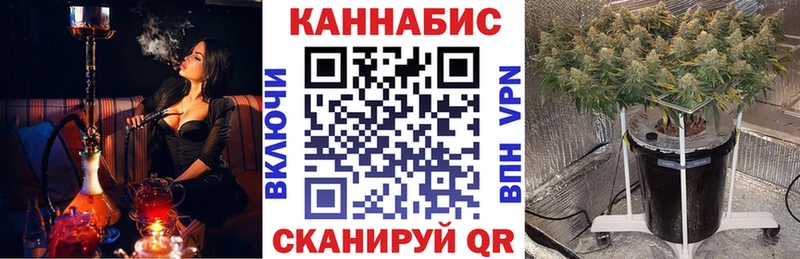 кракен   Анжеро-Судженск  Шишки марихуана сатива 